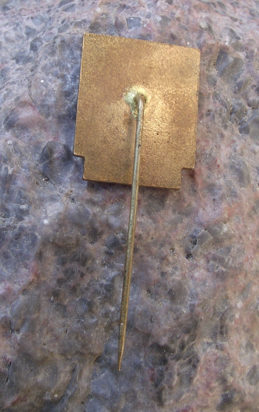 1970 Czech Ascent of Andes Peru Mountain Climbing Disaster Pin Badge