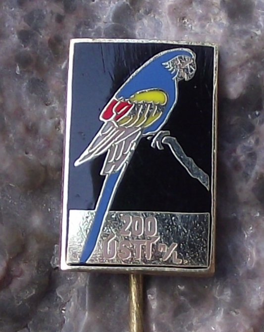 Vintage Usti nad Labem Zoo Blue Green African Macaw Parrot Bird Pin Badge