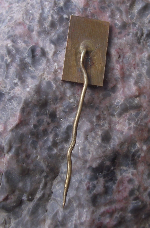 Vintage Prague Zoo Restaurant African Flamingo Bird Pin Badge
