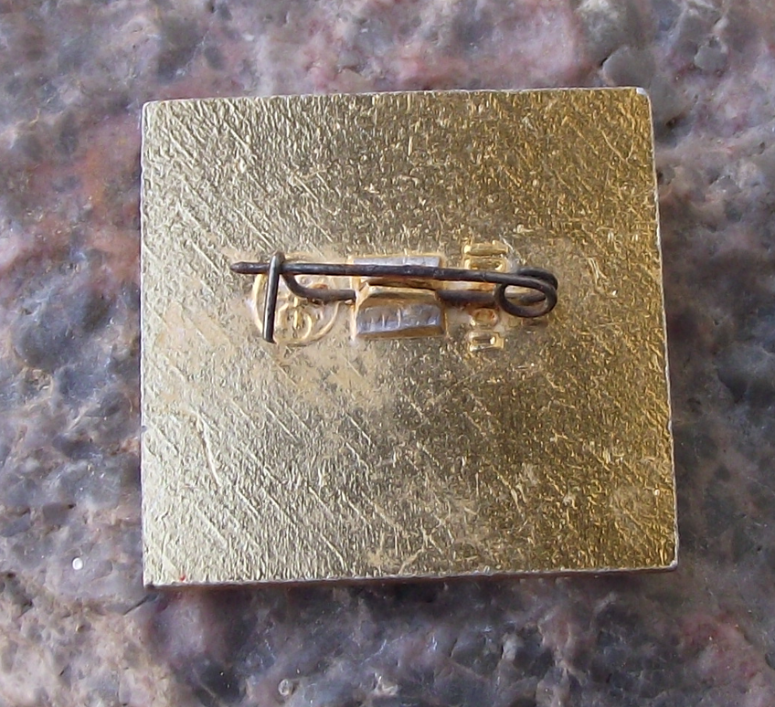 Vintage Prioksko-Terrasny Nature Reserve European Bison Herd Pin Badge