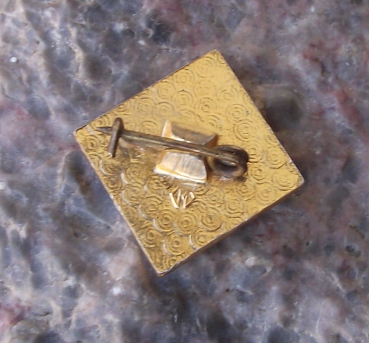 Vintage Soviet Union Chess Federation Queen Crown Diamond Pin Badge