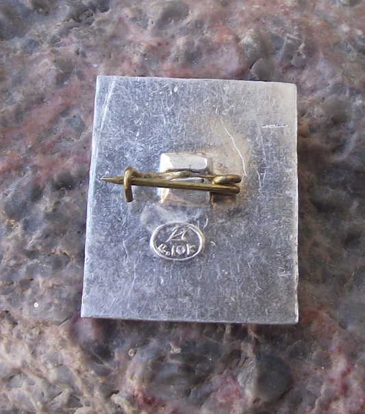 Vintage Poet Writer Alexander Pushkin Profile Russian Pin Badge
