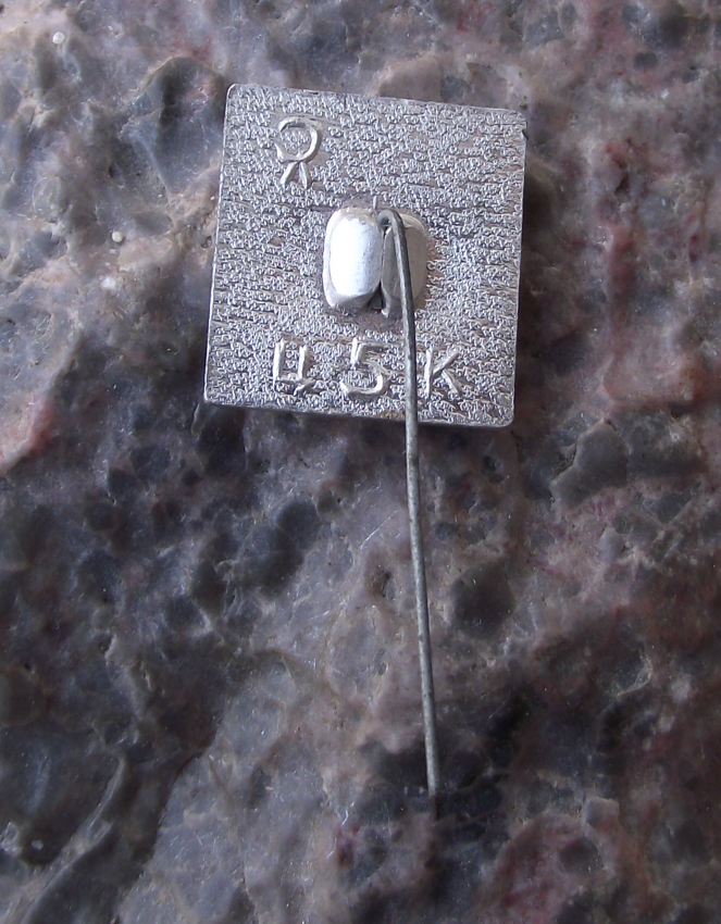 Vintage Poet and Writer Alexander Pushkin Profile Russian Pin Badge