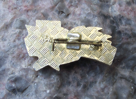 Vintage Moscow World War 2 Hero Heroic City Award Medal Pin Badge