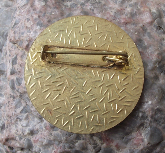 Vintage Czech Pioneer Pionyr Camp Forest Running Pioneering ROH Pin Badge