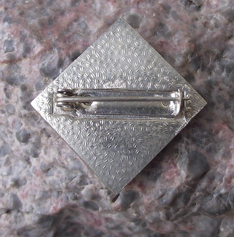 Vintage Czech Pioneer Pionyr Youth Camp Compass ROH Pin Badge