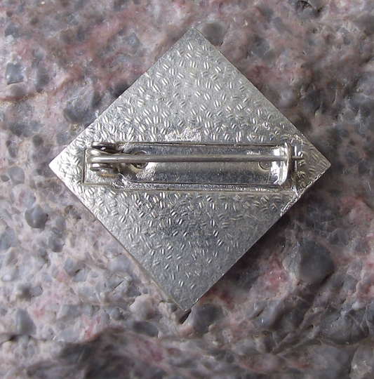 Vintage Czech Pioneer Pionyr Youth Camp Compass ROH Pin Badge