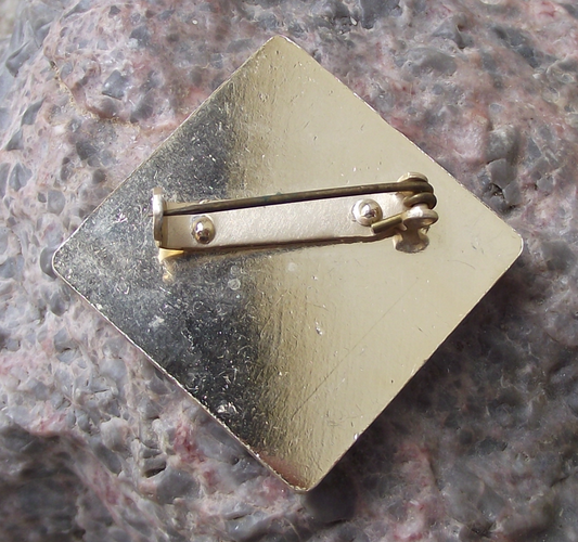 Young Pioneer Czechoslovakia Youth Camping Award Stage 6 Tent Pin Badge