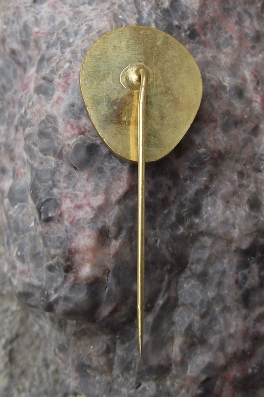 Vintage TJ Krnap Strážné Ski Club Krkonoše Campanula Flowers Skiing Pin Badge