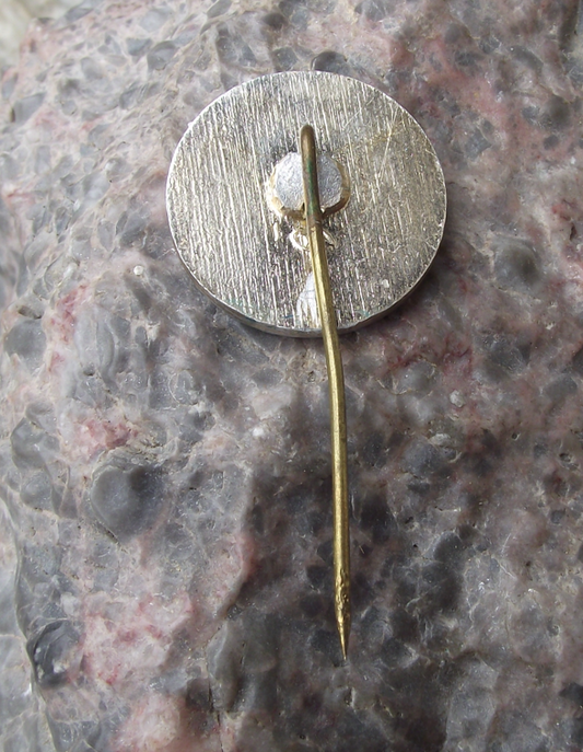 Vintage Lithuania Trakai Island Castle Souvenir Pin Badge