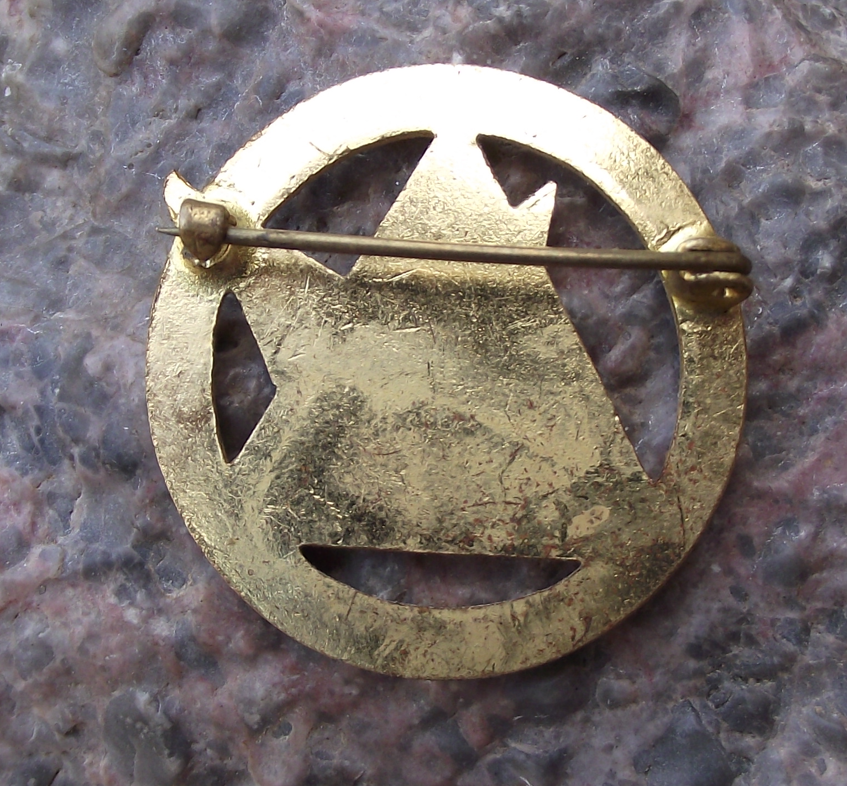 Vintage Czechoslovakia Skiing Association Physical Education Society Pin Badge