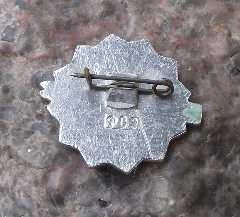 Vintage Soviet Voluntary Sports Society Skiing Snow Flake and Skis Pin Badge