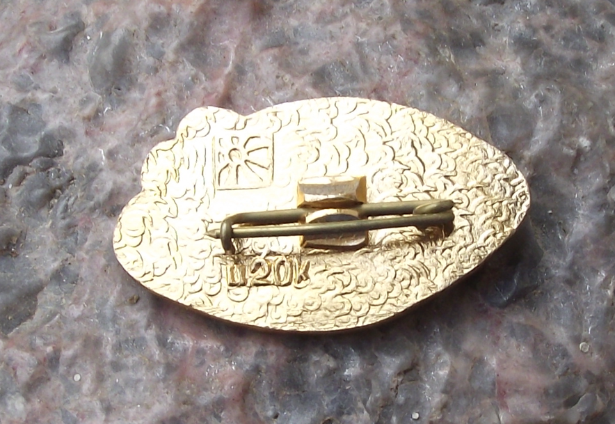 1985 WFDY World Youth Festival Moscow Russia Peace Paix Frieden Pin Badge
