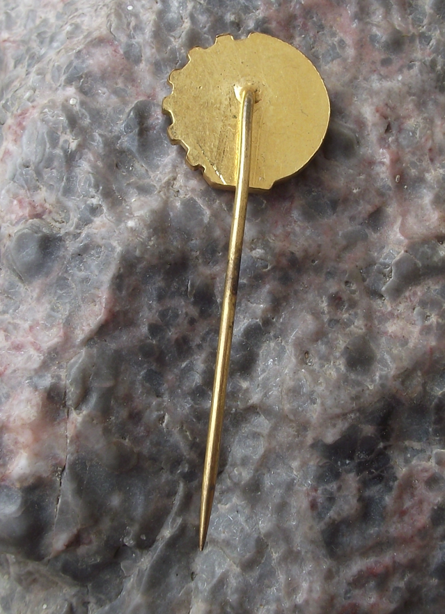Vintage Central Unitaria de Trabajadores de Chile CUT Trade Union Pin Badge