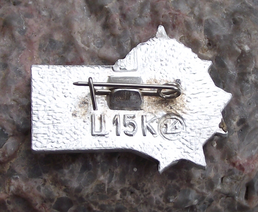 1985 Soviet Order of Victory Day 40th Anniversary Stars Award Pin Badge