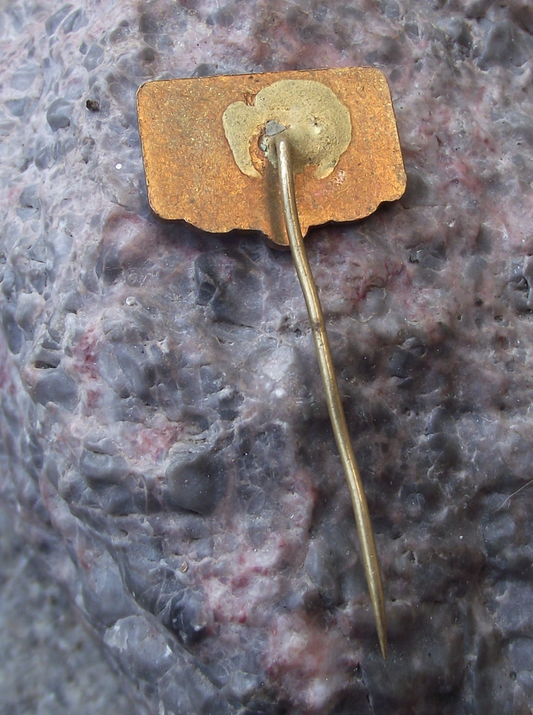 1964 MVMR International Youth Ascent of Rysy Mountain 20th Anniversary Pin Badge