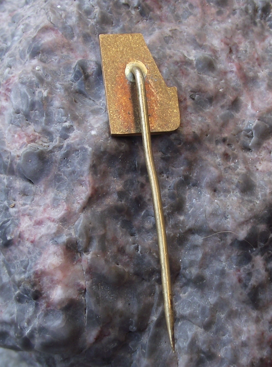 Vintage Cactus Club Society of Czechoslovakia Members Pin Badge