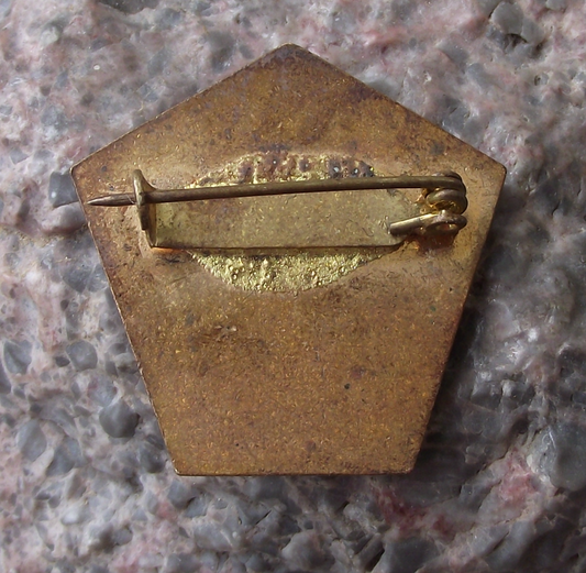 Vintage Czech Pioneer Pionyr Camp Level Flaming Number 5 ROH Pin Badge