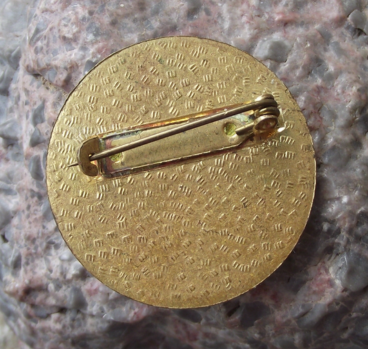 Vintage Czech Pioneer Pionyr Camp Skiing Skier ROH Pin Badge