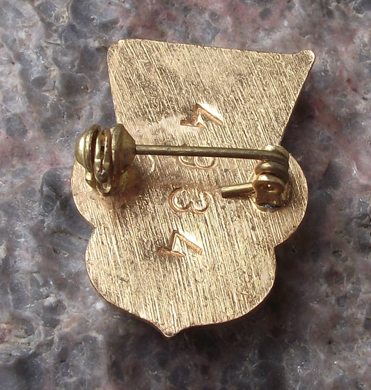 Vintage CSTV Czechoslovakia State Sports Association Members Numbered Pin Badge