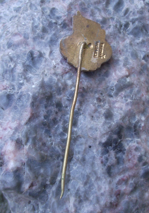 1962 Czechoslovakia Czech State Sports Regional Champion CSTV Gold Pin Badge