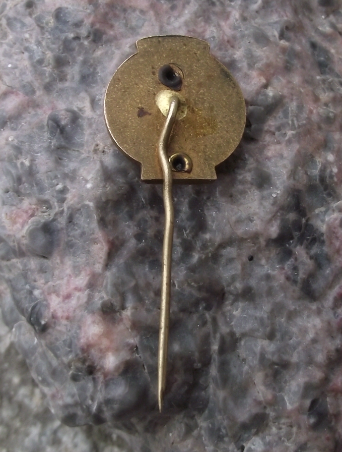 1961 Czechoslovakia North Bohemian Region Sports Champion Pin Badge