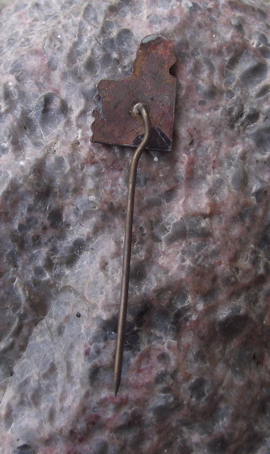 Vintage Serbian Beekeeping Stick Pin Badge Prof Jovan Zivanovic Honey Bee Rare