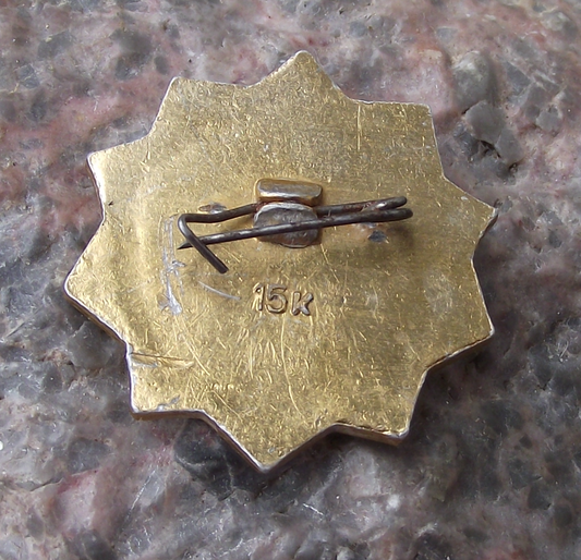Vintage Soviet Union Volunteer Water Rescue Services Anchor Pin Badge