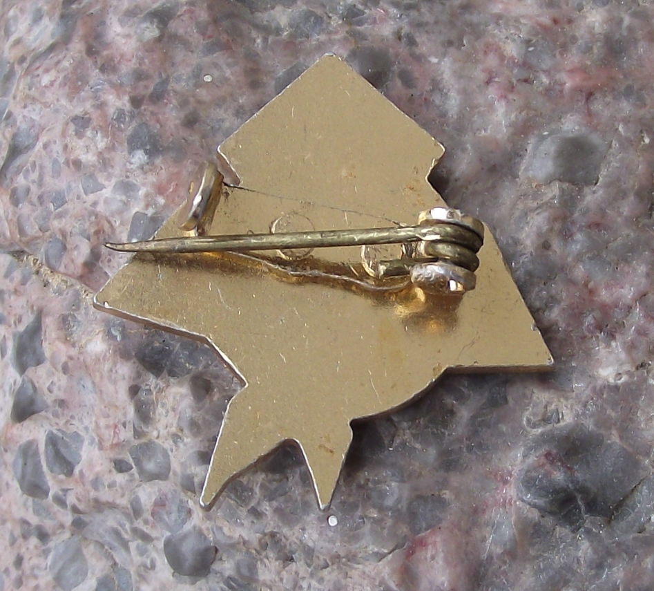 Vintage France CIMEA Young Pioneer Movement Youth Association Logo Pin Badge