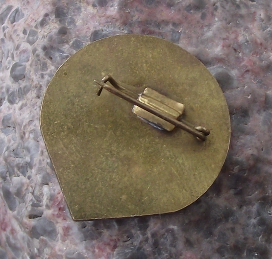 Vintage KISZ Hungarian Youth Young Communist League Kisdobosok Pin Badge