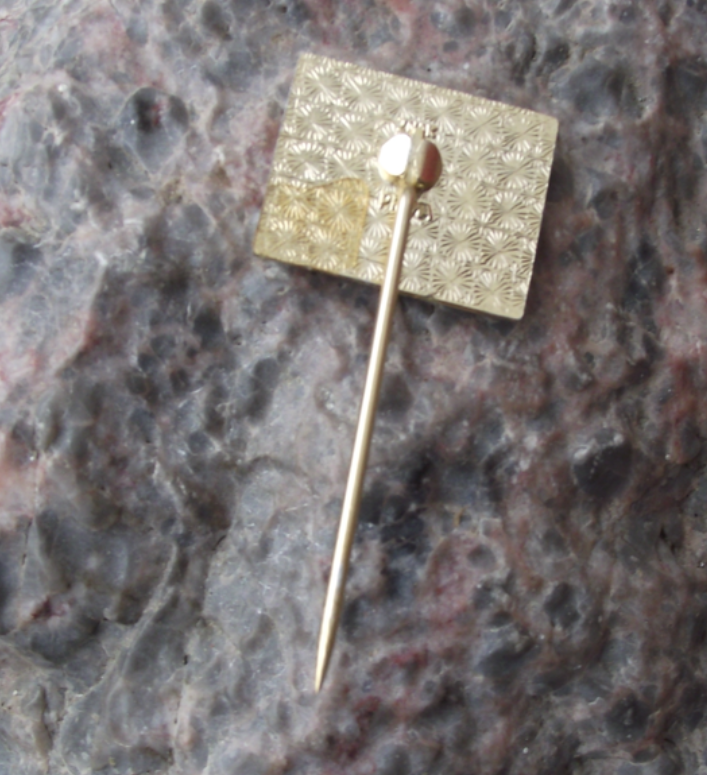 1985 Czech Spartakiad Mass Gymnastics Event Celebration Pin Badge