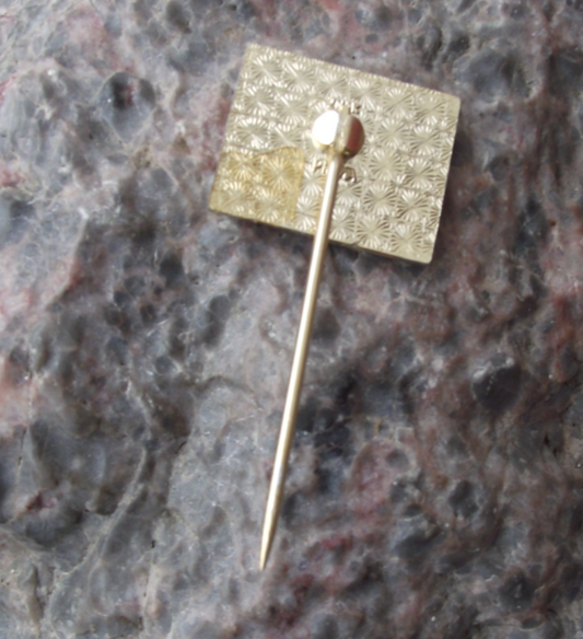 1985 Czech Spartakiad Mass Gymnastics Event Celebration Pin Badge