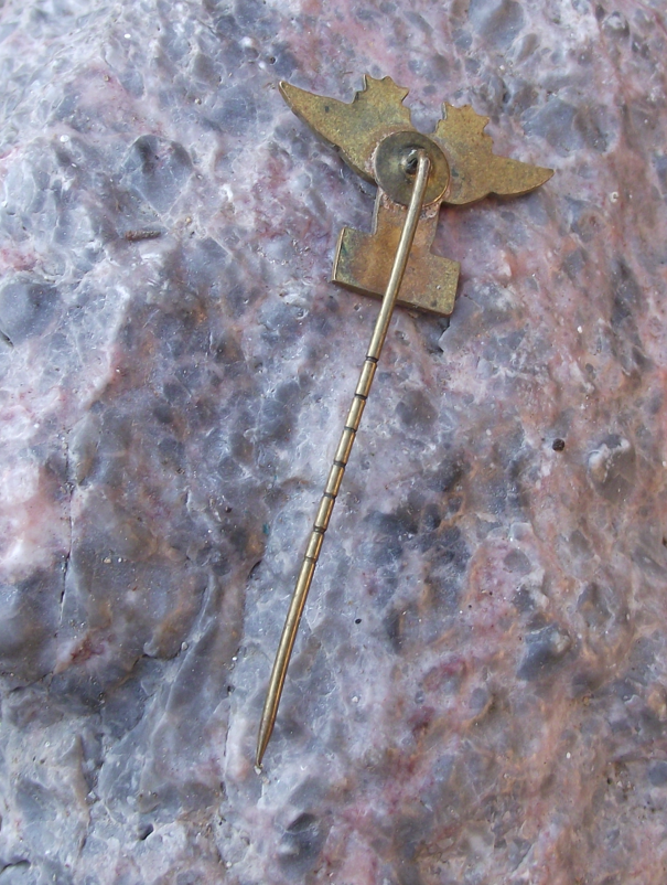 Vintage 1940's SAS Scandinavian Airlines Consortium Logo Pin Badge - Badgecrazy