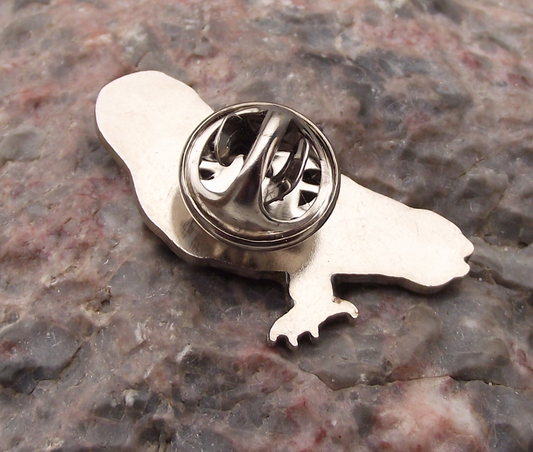 North American Short Eared Owl Bird of Prey Raptor Wildlife Brooch Pin Badge - Badgecrazy