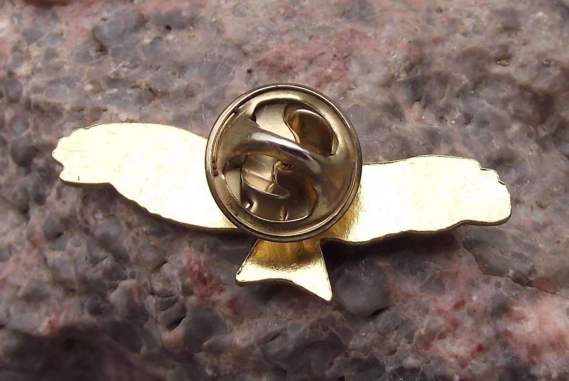 Red Kite Milvus European Bird of Prey Brooch Raptor Pin Badge - Badgecrazy