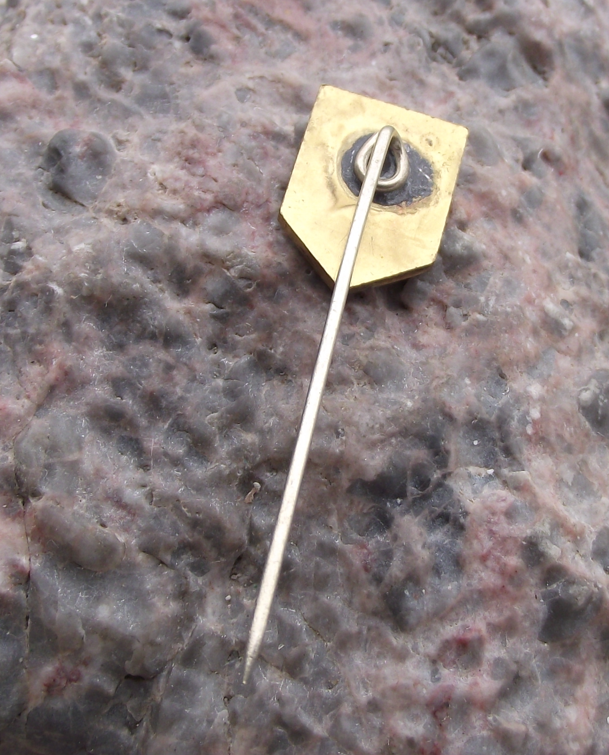 Vintage Berlin Capital City of East Germany DDR GDR Bear Pin Badge - Badgecrazy