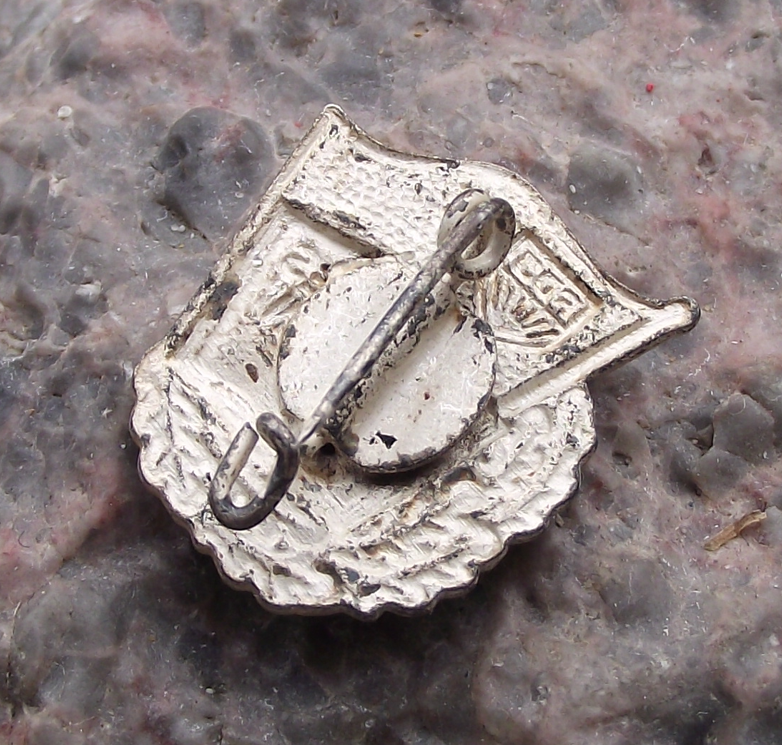 Vintage FDJ Freie Deutsche Jugend East German Good Student Pin Badge - Badgecrazy