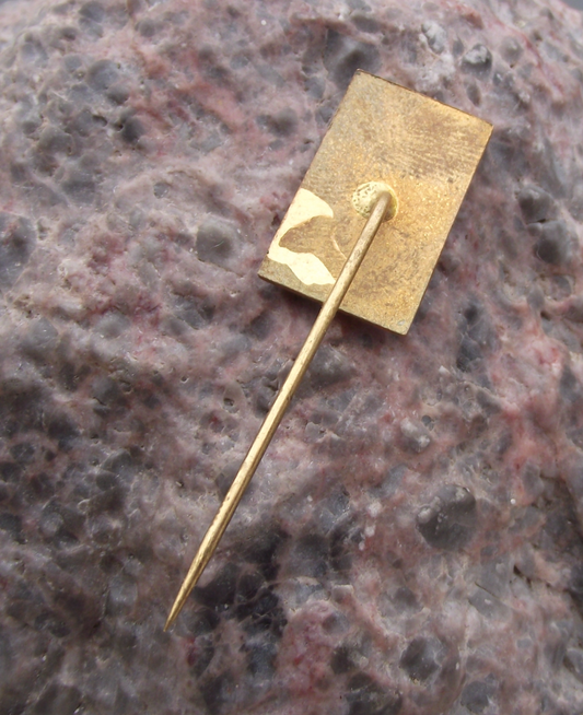 Vintage President Alexander Dubcek Czechoslovakia Communist Photo Pin Badge - Badgecrazy