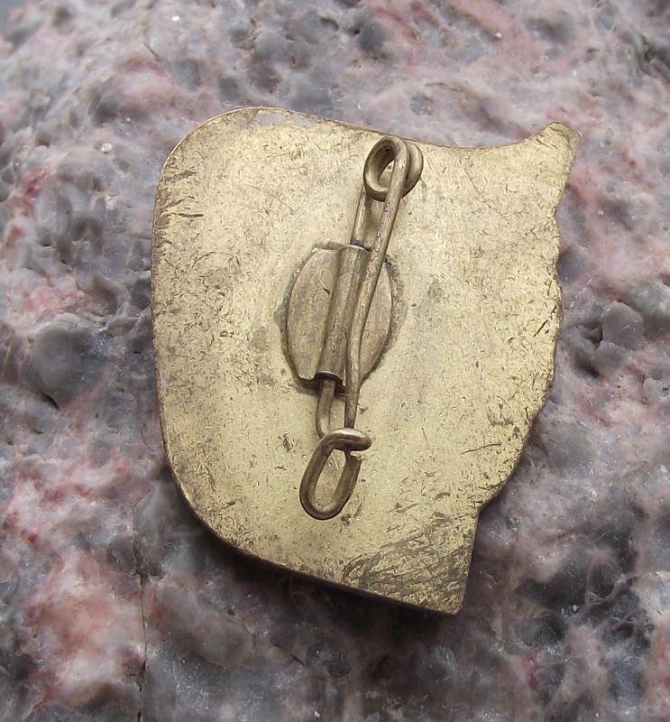 Vintage Ernst Thalmann Pioneers East German Junger Tourist Pin Badge - Badgecrazy