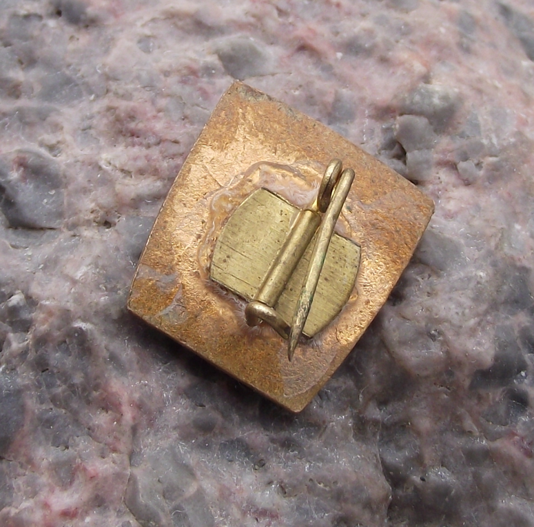 Vintage Bulgaria Dimitrovist Communist Youth Union Members Pin Badge - Badgecrazy