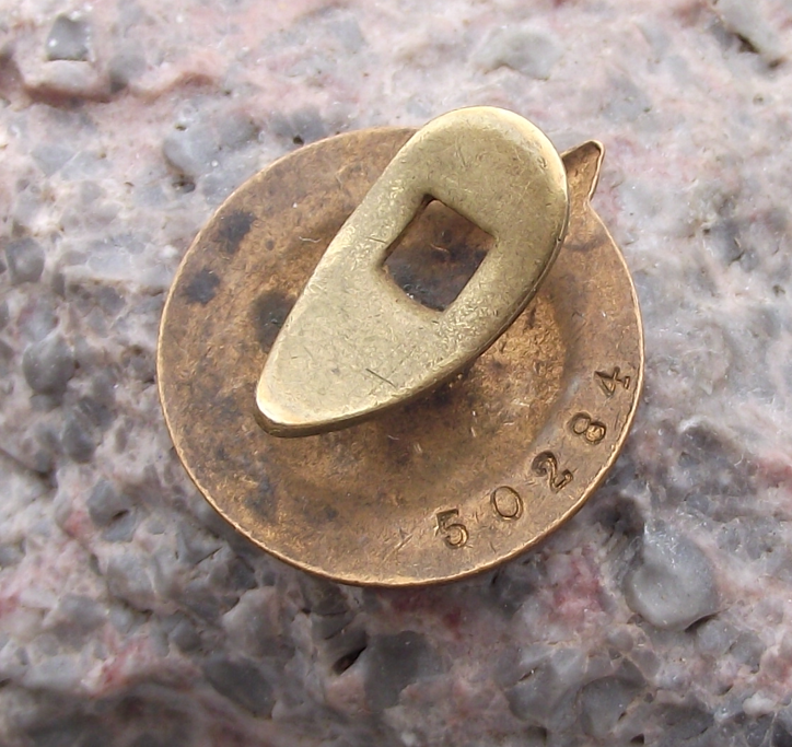 1948 Czech National Association of Revolution Military Anti Fascist Buttonhole