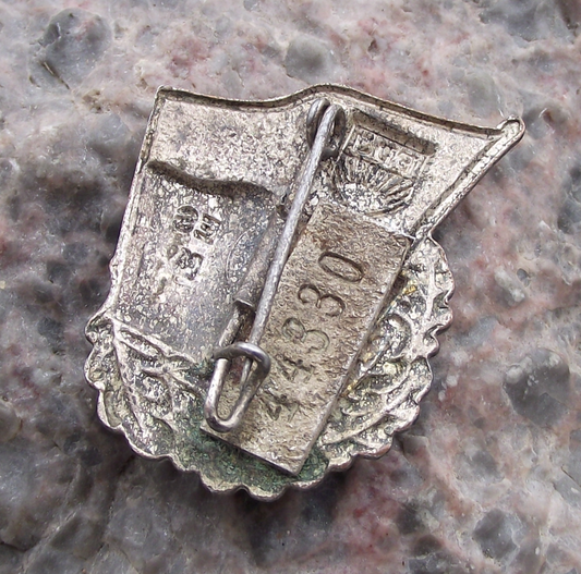 Vintage Big FDJ Freie Deutsche Jugend East German Good Student Pin Badge