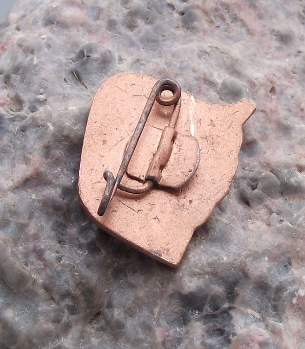 Vintage Ernst Thalmann Pioneers East German Junger Tourist Smaller Pin Badge - Badgecrazy