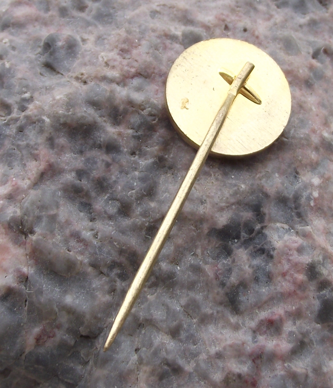 Vintage Skoda Car Company Vehicles Hatched Gold Silver Logo Pin Badge