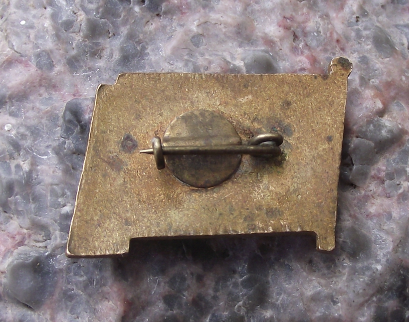 Vintage Soviet Union Intourist Russian Cruise Liner Ship Pin Badge - Badgecrazy