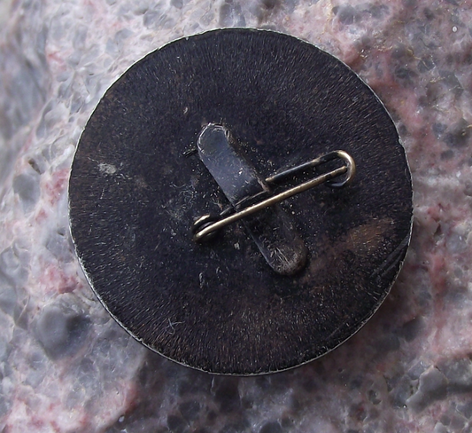 Vintage Yerevan Armenia Erebuni Anciant Fortress City Pin Badge - Badgecrazy