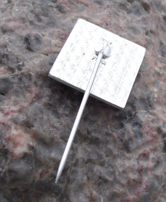 Vintage Soviet Union Interkosmos International Space Program Rocket Pin Badge - Badgecrazy