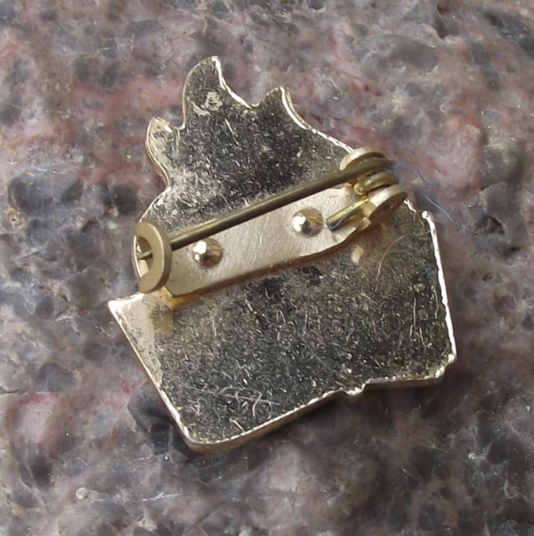 Vintage Czech Pioneer Pionyr Youth Communist Scouts Movement Logo Pin Badge