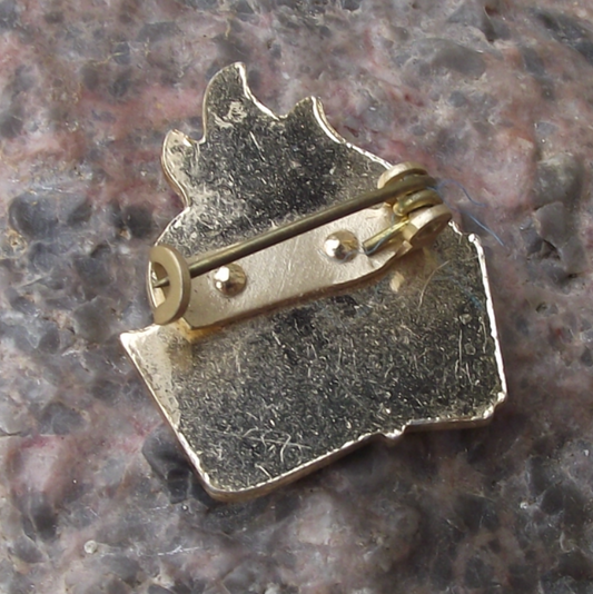 .Vintage Czech Pioneer Pionyr Youth Communist Scouts Movement Logo Pin Badge