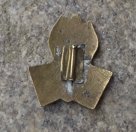 Vintage North Korean Pioneers Organization Youth Group Flames Pin Badge